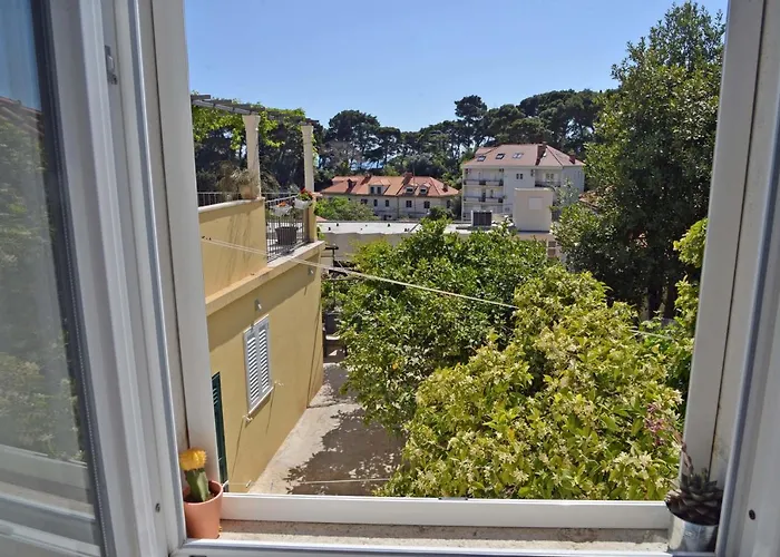 Manda Affittacamere *