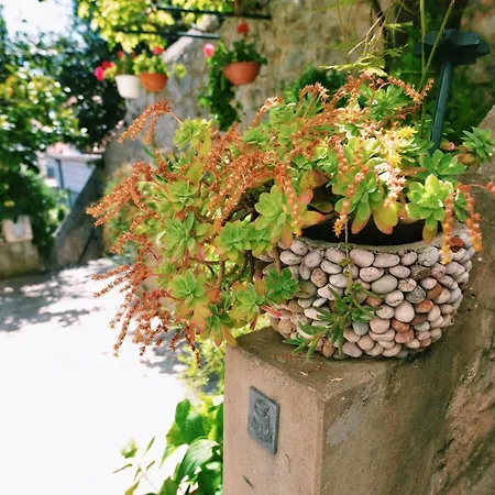 게스트하우스 Manda