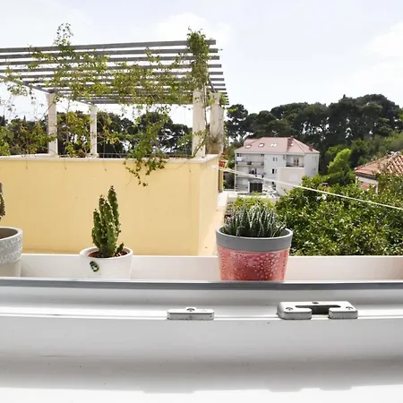 Manda 두브로브니크