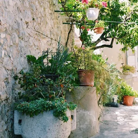 Manda Guest house