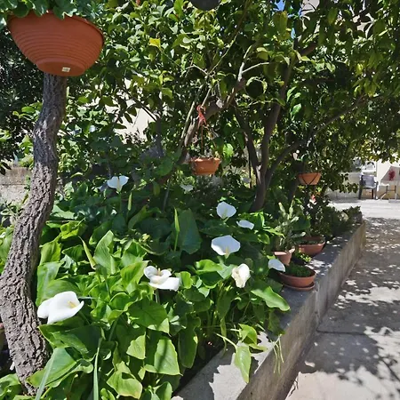 Guest house Manda